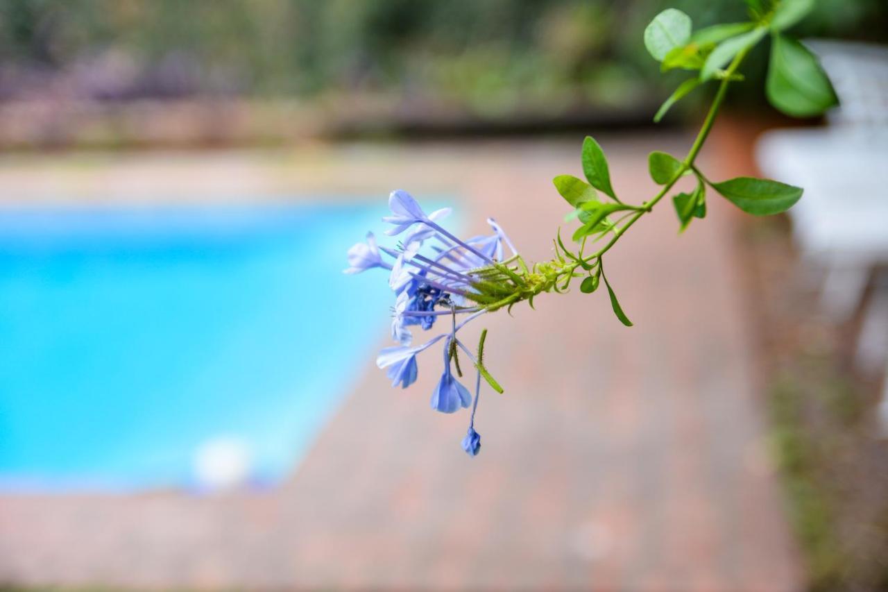 Hostel Posada Juan Ignacio Rosario Ngoại thất bức ảnh